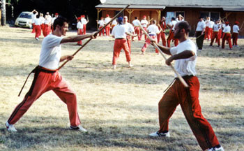 sc_2003_4_gross